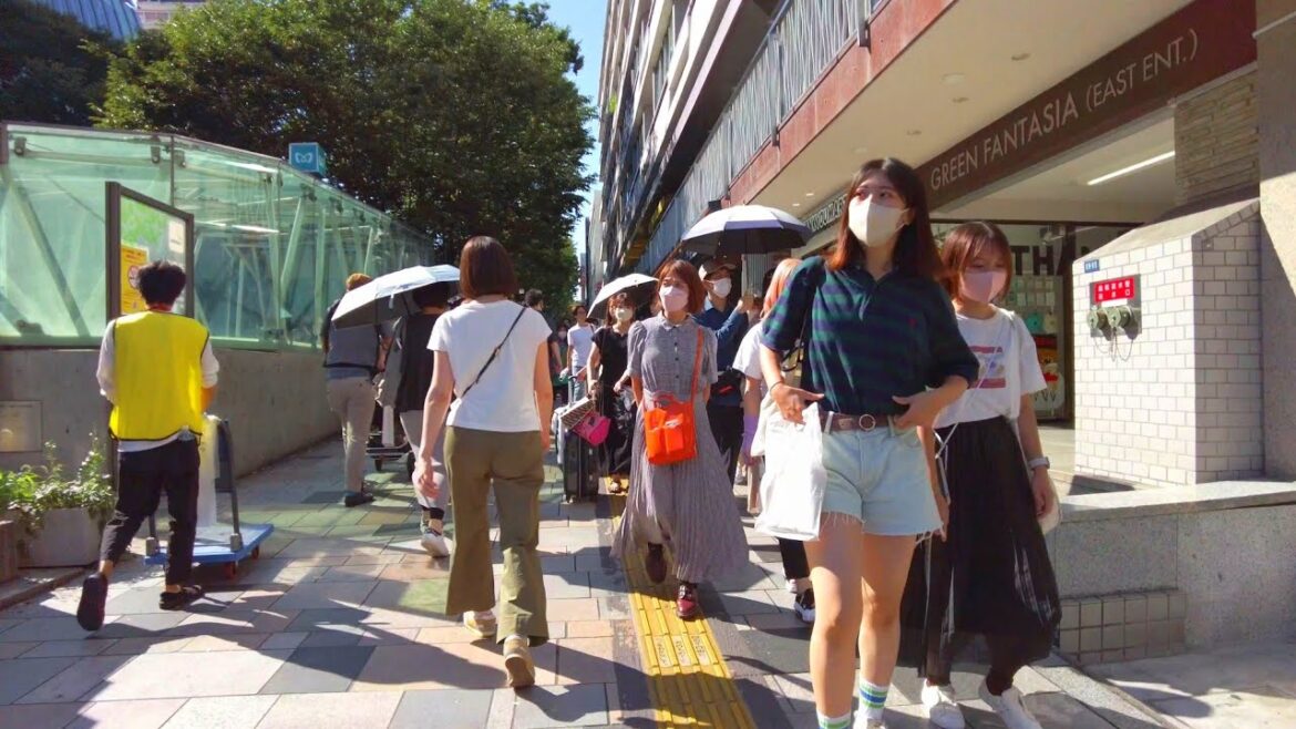 【4K】Tokyo, Omotesando Daytime Walk - The Sophisticated City in Japan