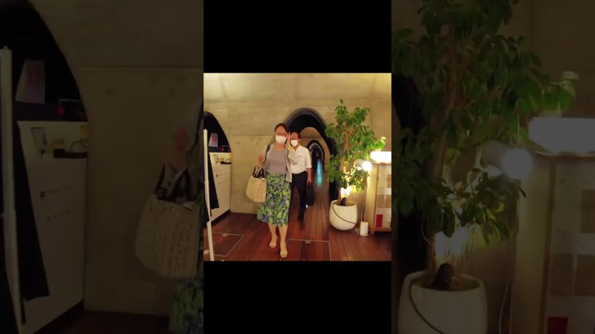 For Adults, A glass-walled store that offers services, Akihabara, Tokyo Japan Walk｜秋葉原 東京