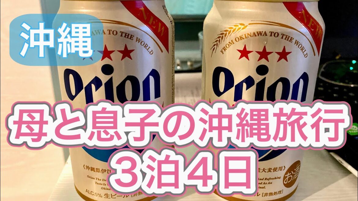 沖縄3泊4日親子旅 1日目のオススメ観光スポット/グルメ/ホテルを紹介 沖縄3泊4日親子旅 1日目のオススメ観光スポット/グルメ/ホテルを紹介