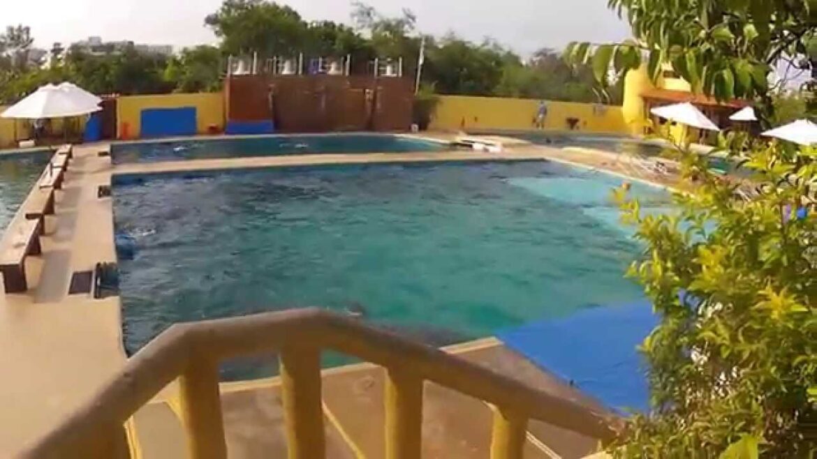 Puerto Adventuras Dolphin Show, Riviera Nayarit, Mexico Puerto Adventuras Dolphin Show, Riviera Nayarit, Mexico