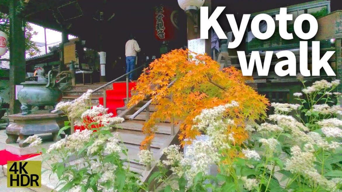 【京都散策/Kyoto Japan Walking Tour】藤袴祭で彩られる寺町通を、梨木神社、廬山寺まで【4K】Flower festival streets and temples