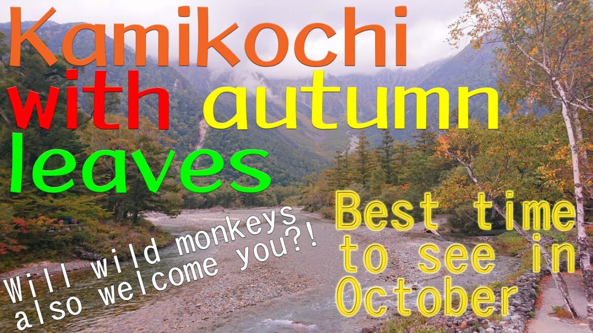 Autumn leaves in Kamikochi. October is the best time to see