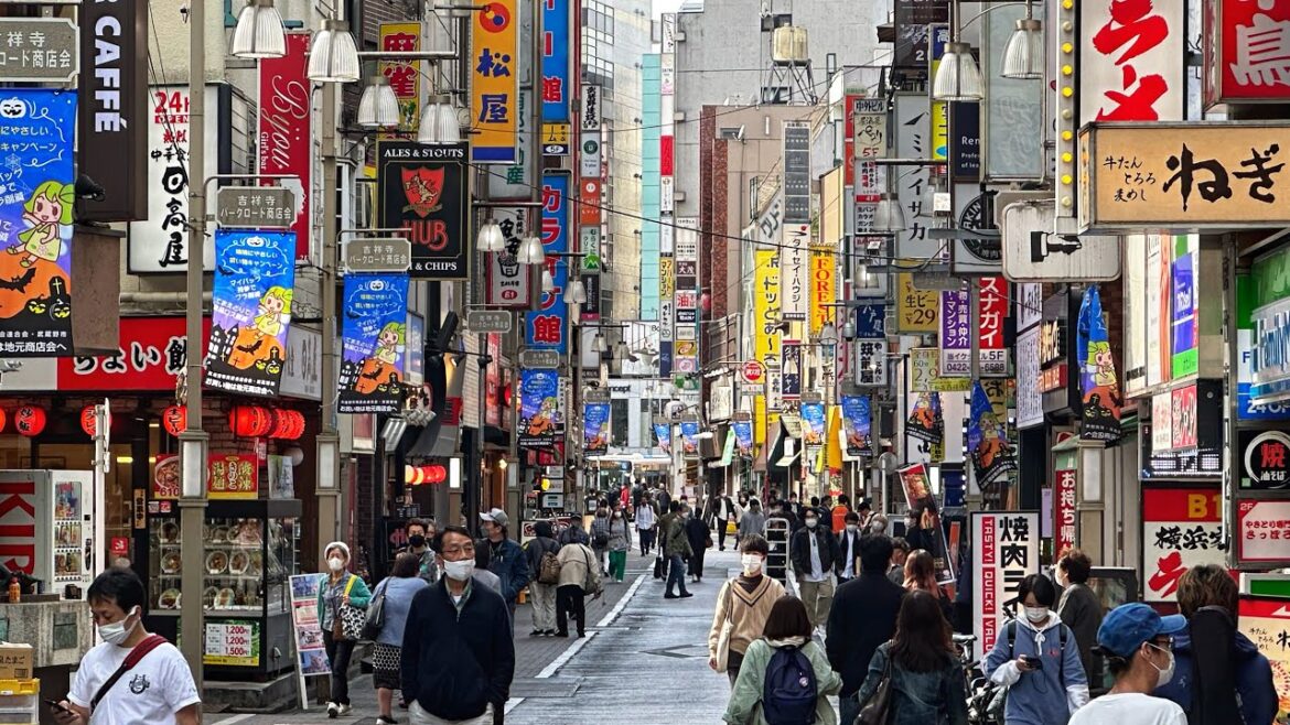 Tokyo Megawalk – Chuo Line Tokyo Station to Takao S2E3 – Nakano to Kichijoji – 東京散歩、中野から吉祥寺まで Tokyo Megawalk - Chuo Line Tokyo Station to Takao S2E3 - Nakano to Kichijoji - 東京散歩、中野から吉祥寺まで