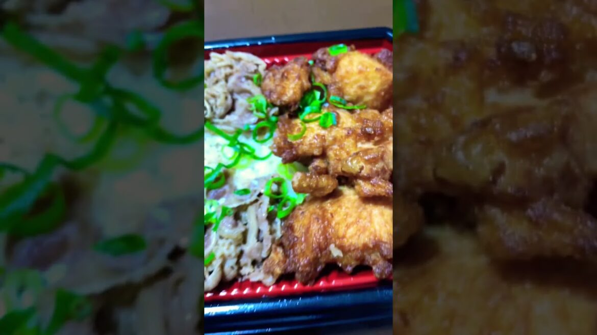 JAPANESE FOOD Special lunch box!!! ONLY 4.98$!!!