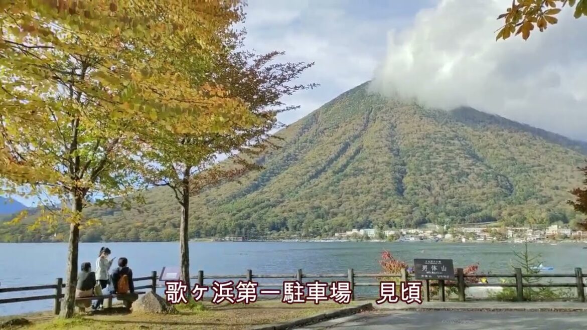 奥日光紅葉情報　2022年10月12日の様子