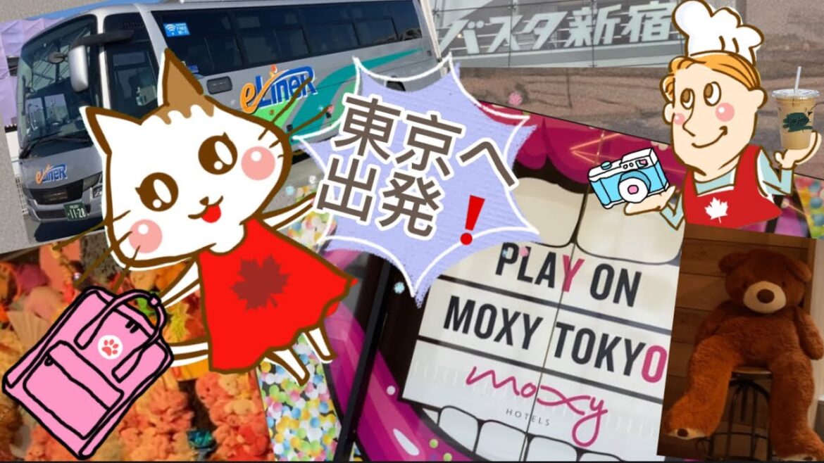 【東京・錦糸町】メイプル初の東京へ！モダンなホテルで1泊⭐︎ Maple's first ever trip to Tokyo! And overnight in a fancy hotel💖#12