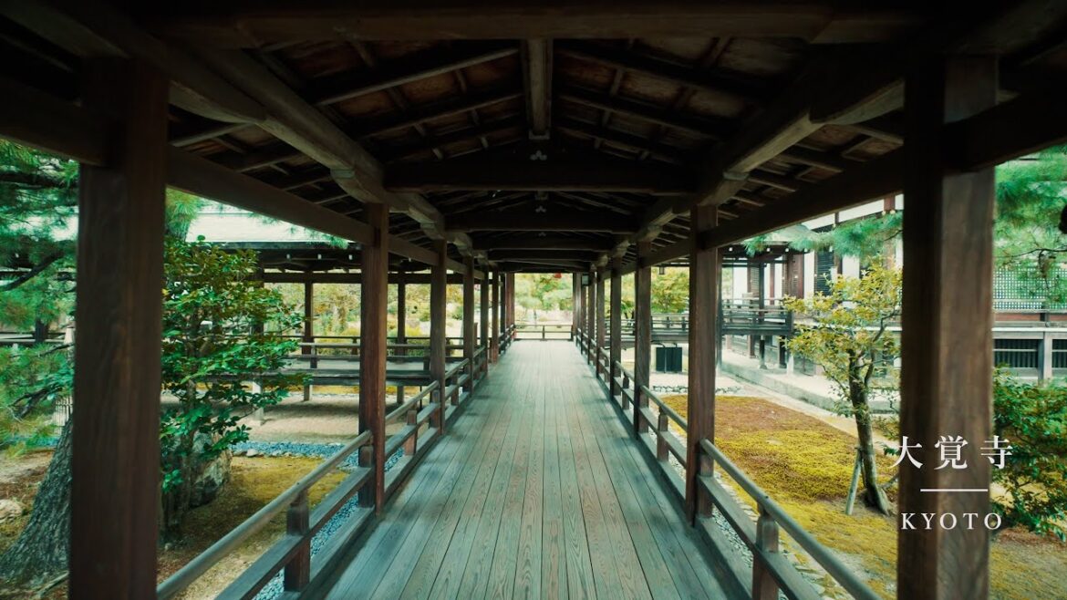 【京都・KYOTO】大覚寺を散策:Walking Around Daikakuji Temple(JAPAN) 【京都・KYOTO】大覚寺を散策:Walking Around Daikakuji Temple(JAPAN)