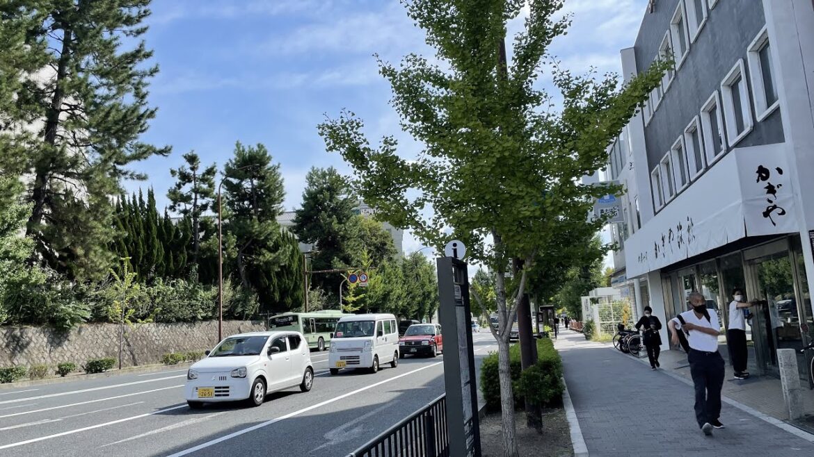 【4K】Kyoto Walk🇯🇵/Hyakumanben/百万遍/七条/京都/散歩