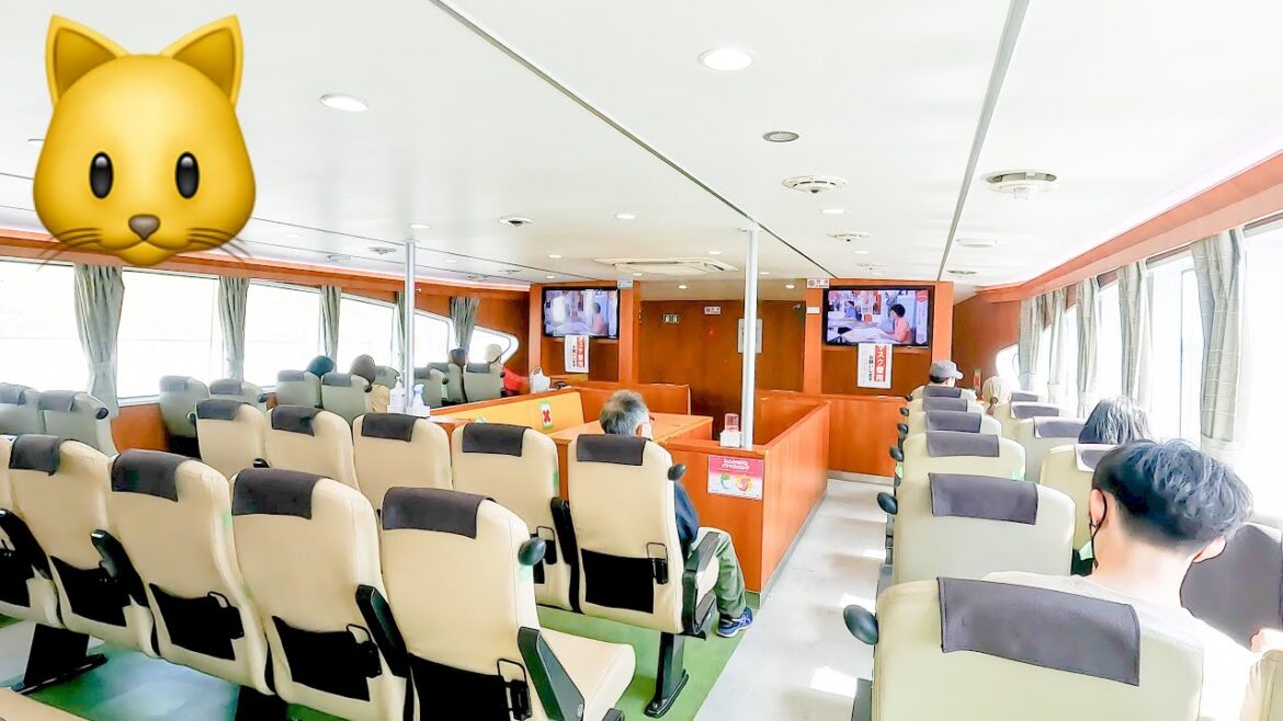 🚢Go to Cat Island to shoot cat videos 🐈🎥Town washed away by tsunami in the past.