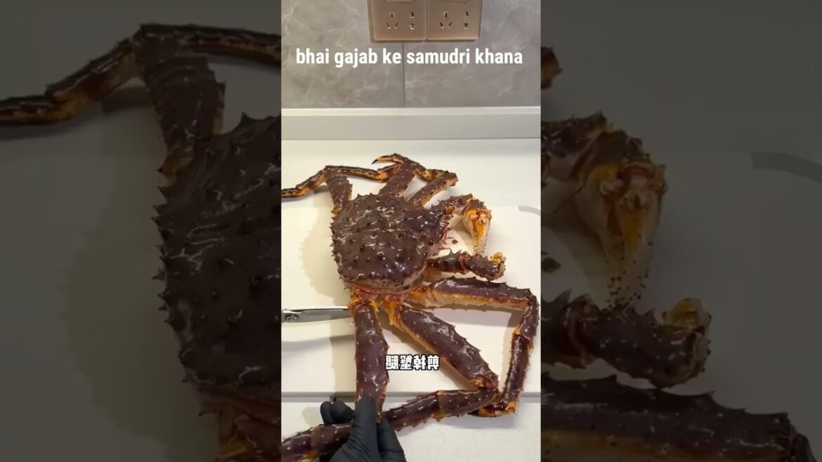 Fried Fish & Grilled Fish Karachi's Biggest #Seafood Street. Street Food Spicy Lahori Masala Fish