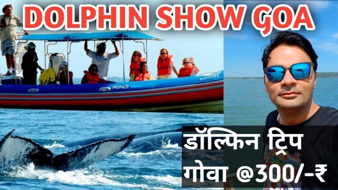 डॉल्फिन ट्रिप , गोवा | GOA DOLPHIN TRIP || DOLPHIN SHOW || DOLPHIN SIGHTSEEING | SINQUERIM JETTY GOA डॉल्फिन ट्रिप , गोवा | GOA DOLPHIN TRIP || DOLPHIN SHOW || DOLPHIN SIGHTSEEING | SINQUERIM JETTY GOA