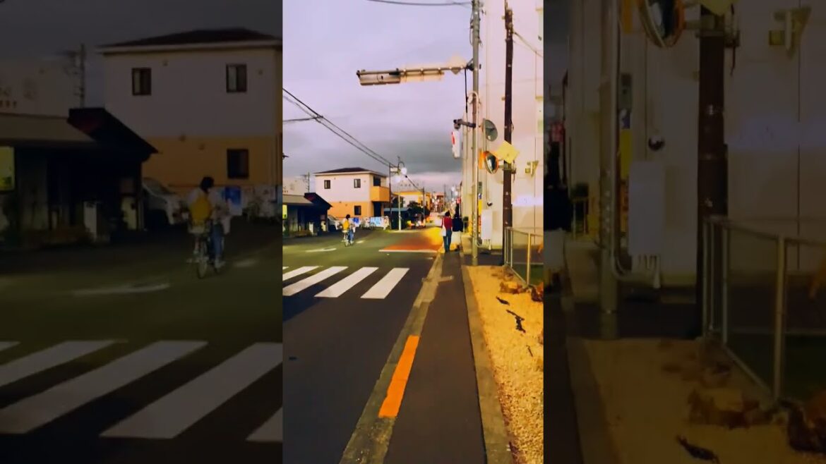 Streets of Tokyo |#shorts #tokyo #japan #tokyostreet #youtbeshorts