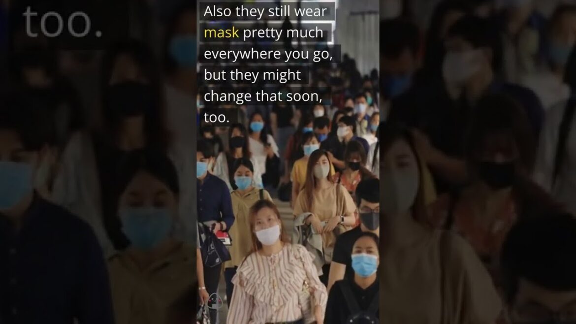 Japan is Open!! What You Need To Know Before You Travel To Japan #shorts #japan #japanese