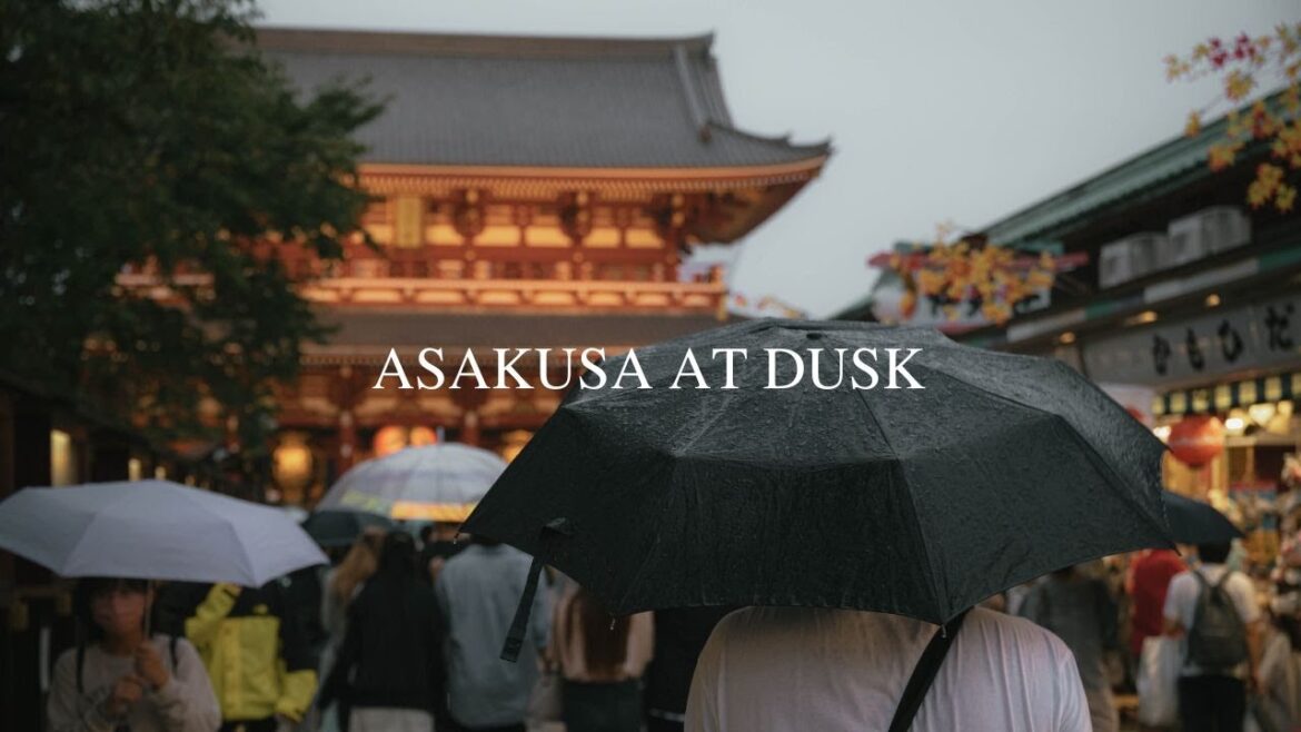 POV Street Photography in JAPAN / Ep. 2 / Asakusa / Nikon Z5 / #japan #streetphotography #travel