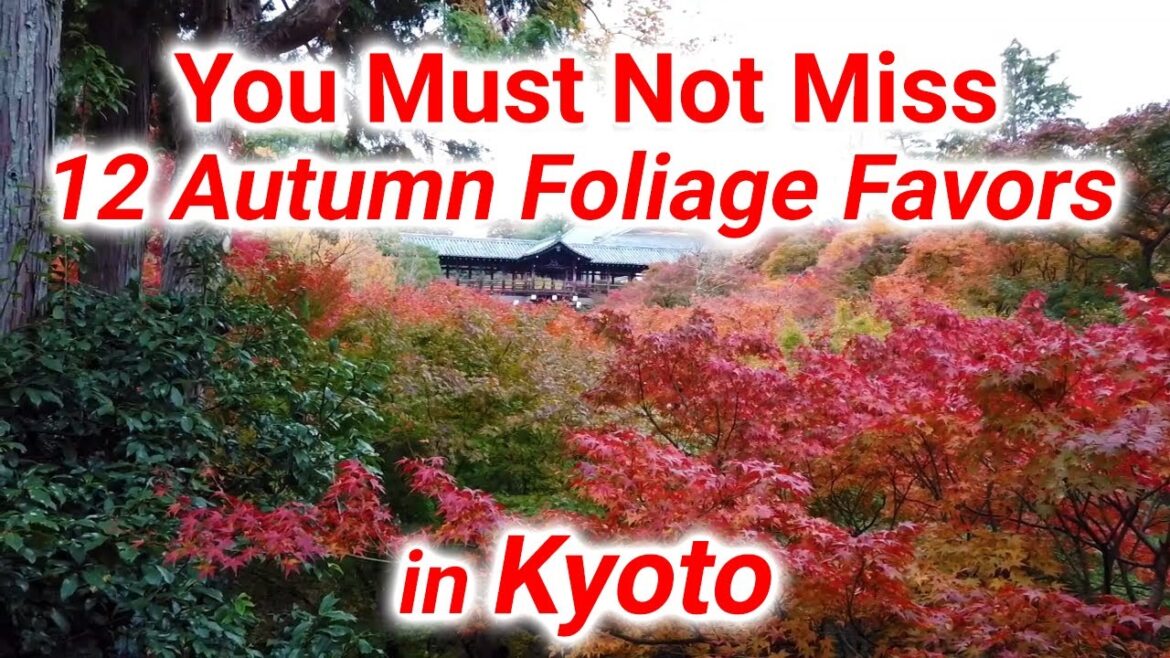【Kyoto Autumn Foliage】Here are 12 autumn leaves in Kyoto that you must not miss! 【Kyoto Autumn Foliage】Here are 12 autumn leaves in Kyoto that you must not miss!