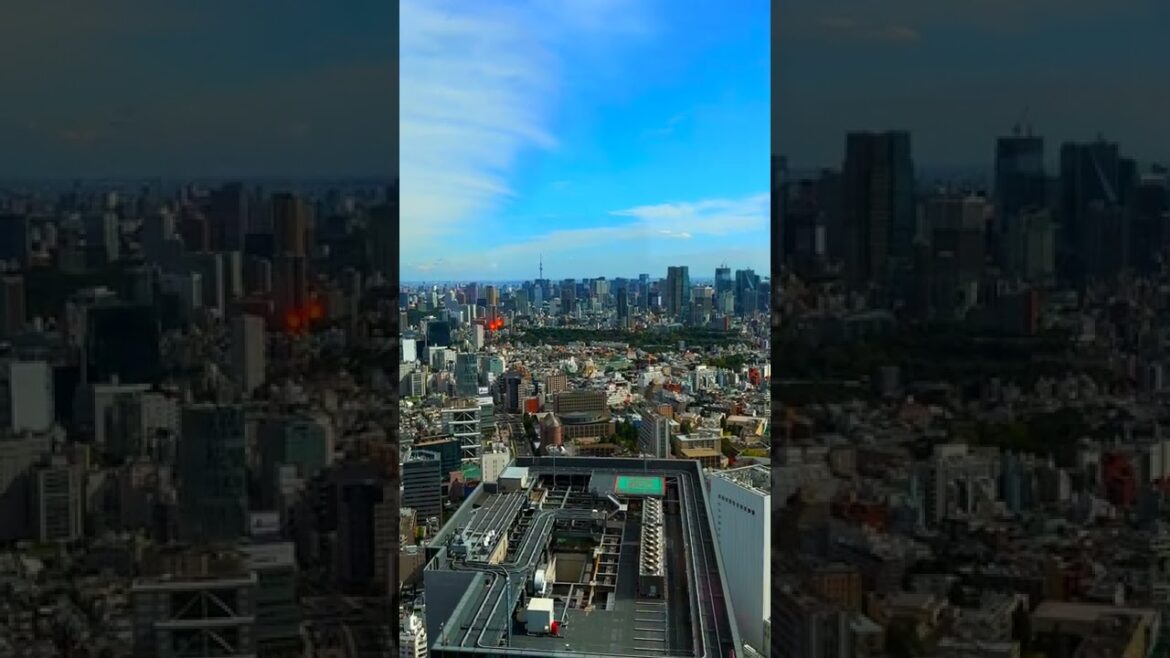 Shibuya Sky | Tokyo