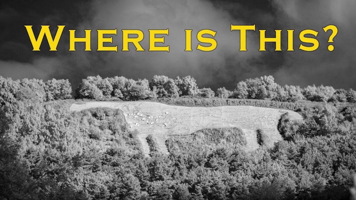 White horse, Kilburn, Thirsk. Thomas Taylor a Victorian businessman's idea.