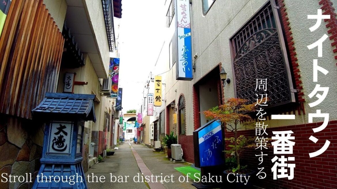 佐久市ナイトタウン一番街周辺の飲み屋街を散策する[Stroll through the bar district of Saku City, Nagano Prefecture]