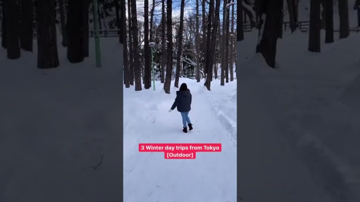 👀 3 outdoor day trips from Tokyo you should take in winter