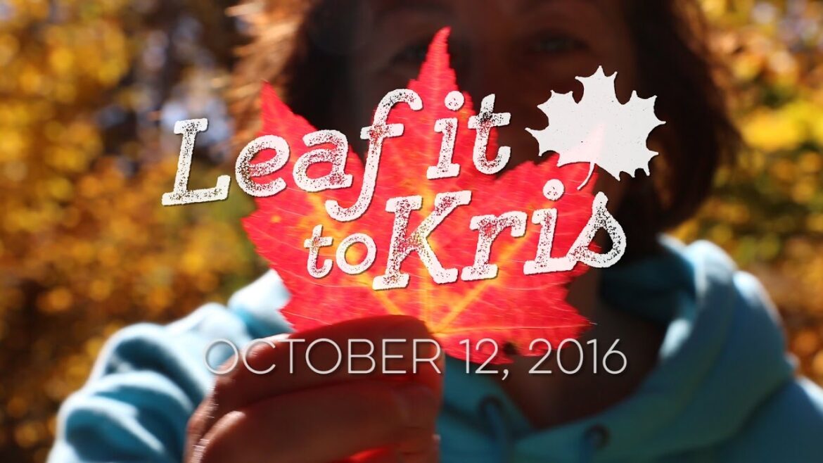 Leaf it to Kris: October 12, 2016