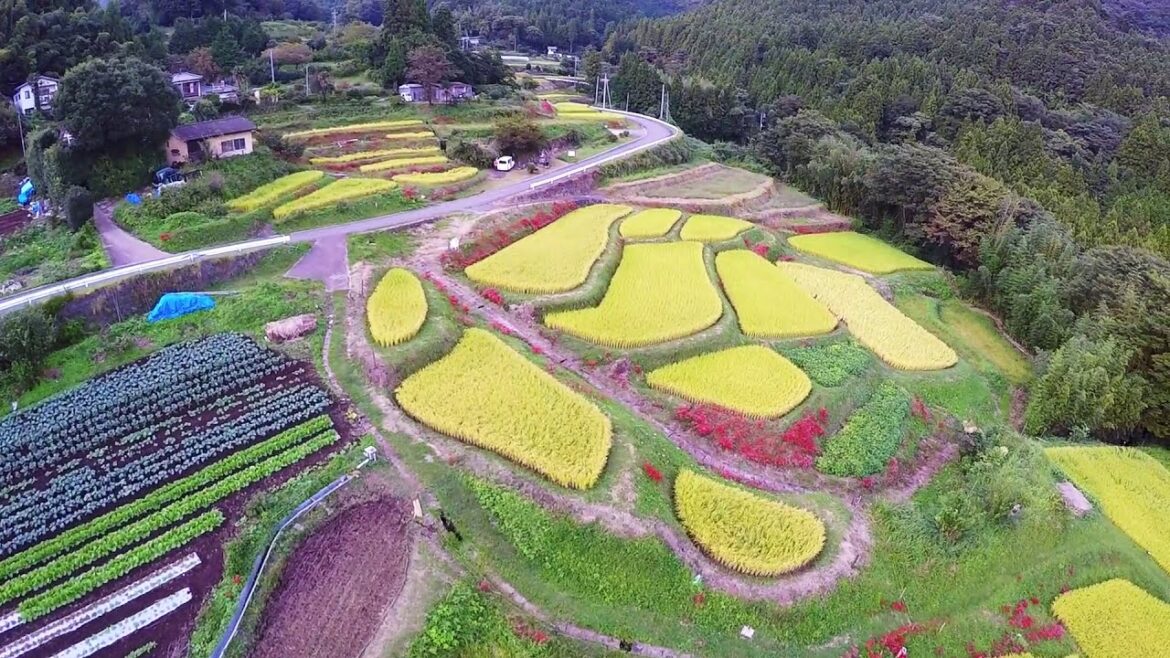 Aerial video in Shibukawa city