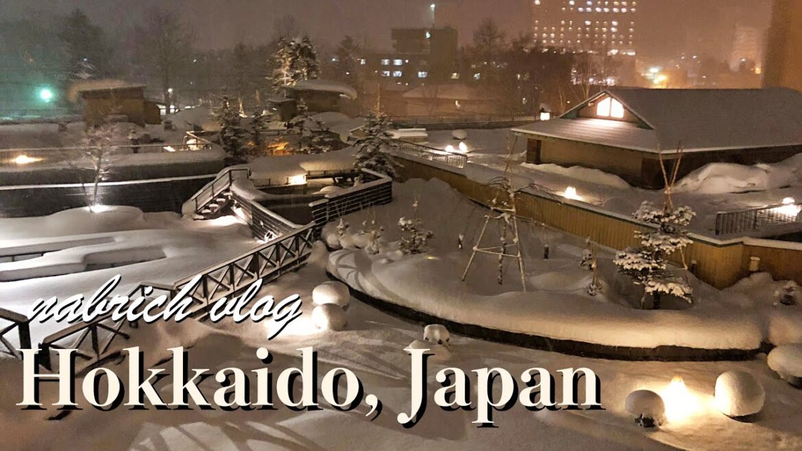 [Travel Vlog] 일본 홋카이도 겨울 여행 브이로그 | Winter, Hokkaido, Japan