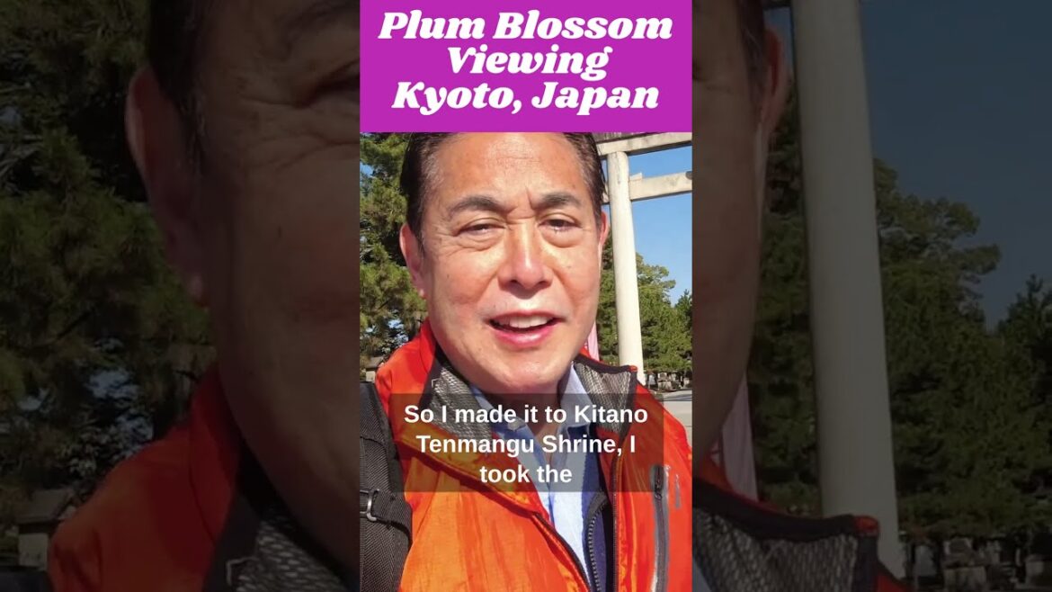 Plum Blossom Viewing in Kyoto, Japan (Kitano Tenmangu Shrine)