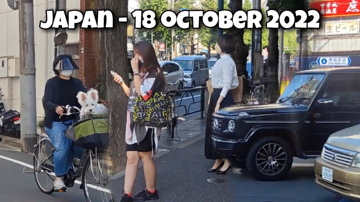 Japan Walking – Nakano Walk in Tokyo 💖 – 18 October 2022 – 4K Japan Walking - Nakano Walk in Tokyo 💖 - 18 October 2022 - 4K