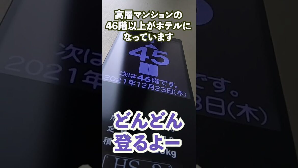 【みなとみらいオークウッドスイーツ横浜紹介】高層マンションにステイ！コンドミニアムだから暮らすように滞在できる！ #shorts  #ホテル紹介 ＃みなとみらい ＃横浜 #お泊まり