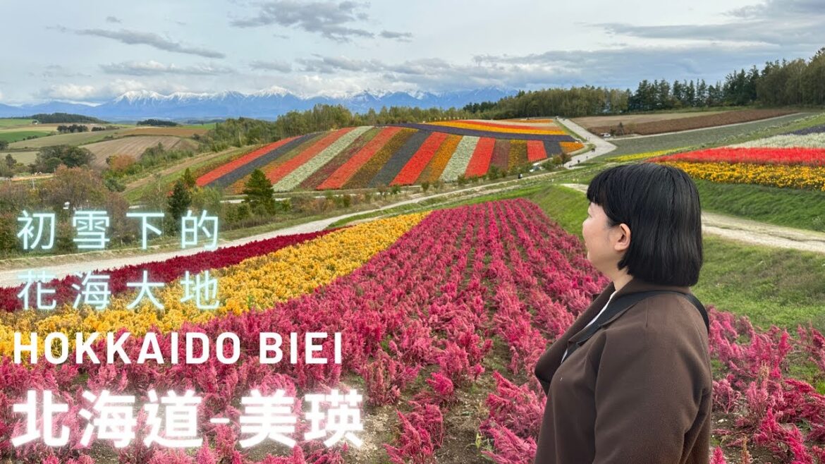 太美了!所以決定一集!【北海道-美瑛】初雪下的花海大地 Hokkaido Biei in Autumn|4K