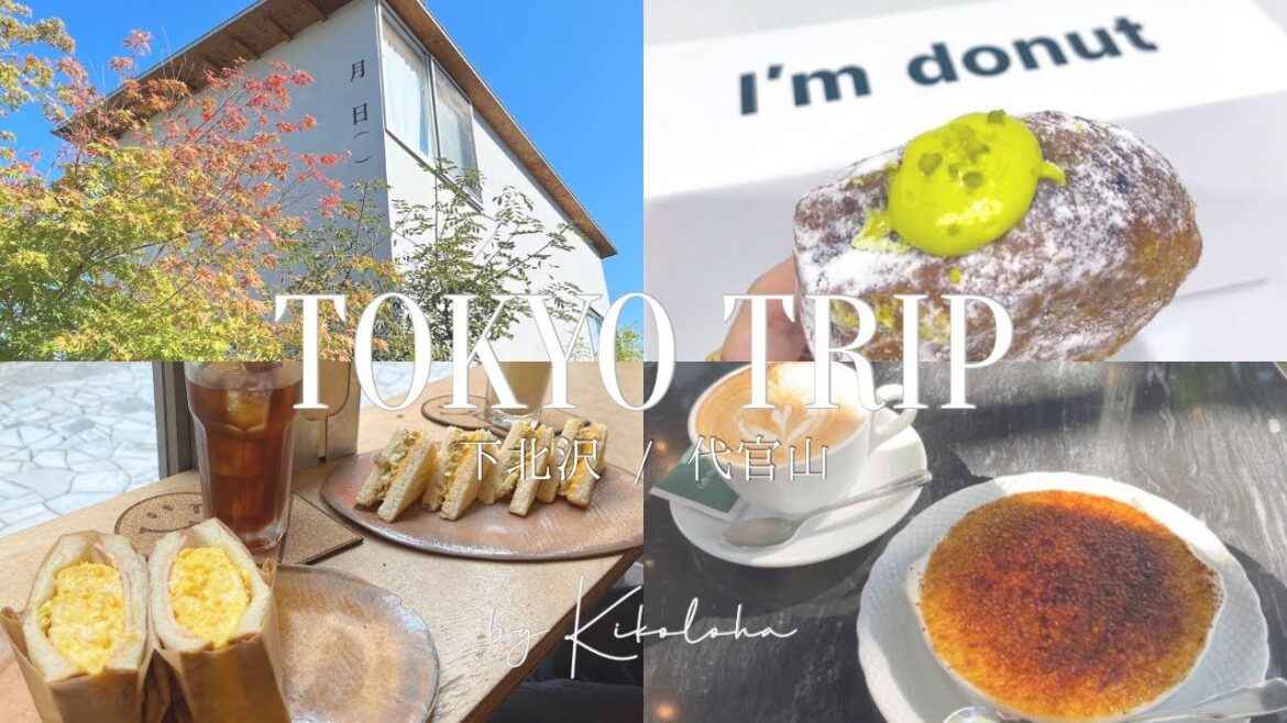 【Vlog】カフェ好き神戸っ子が巡る下北沢&代官山で気になったカフェとスイーツ{SUB} 【Vlog】カフェ好き神戸っ子が巡る下北沢&代官山で気になったカフェとスイーツ{SUB}