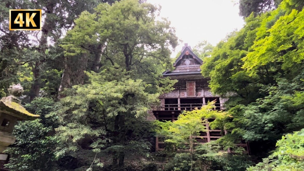 Hiking to Japan's Hidden Forest Shrine | Japan 4K Walking Tour Hiking to Japan's Hidden Forest Shrine | Japan 4K Walking Tour