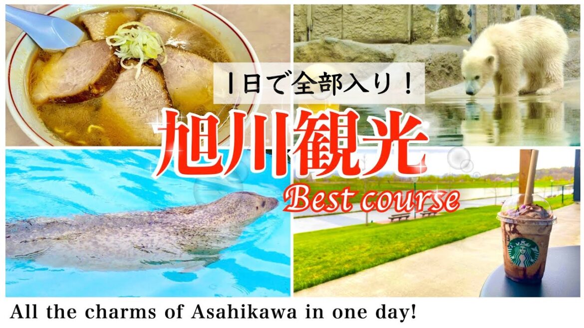 【北海道旅行】旭川観光でグルメ/癒し/エンタメを楽しむベストコース(2022年旭川旅行)
