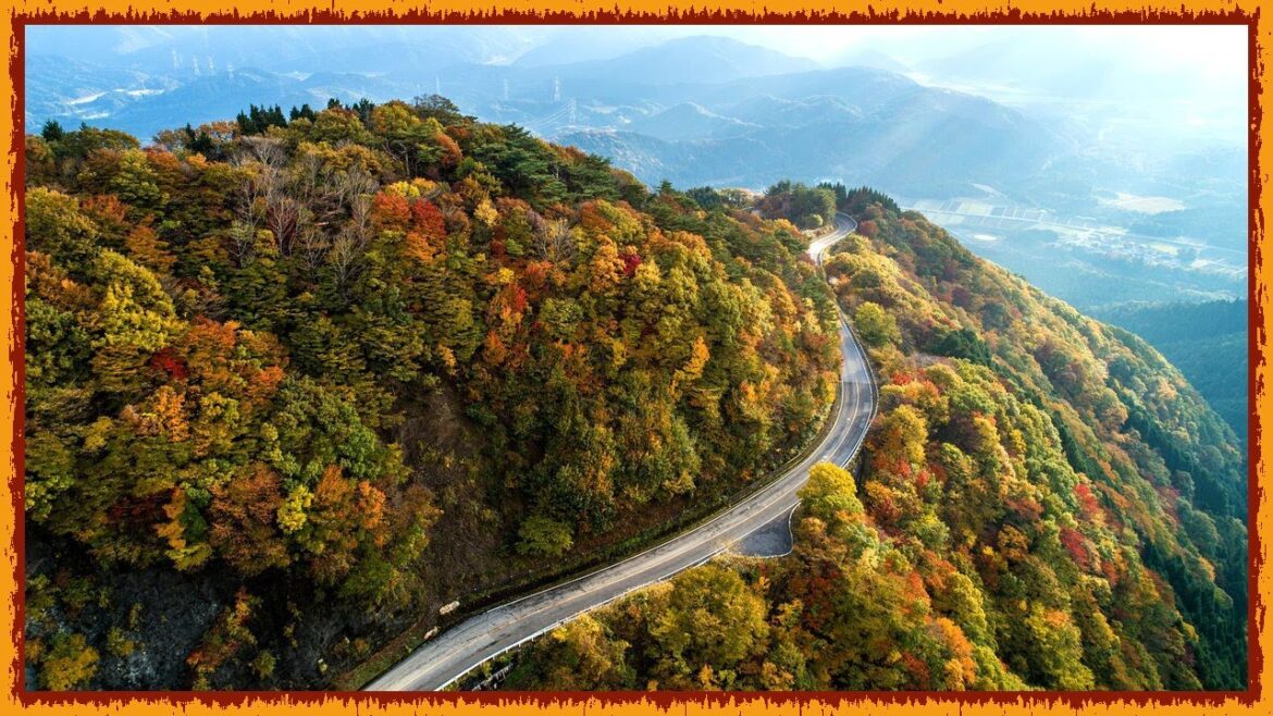 DESCENDO A MONTANHA NO JAPÃO (IBUKIYAMA DRIVEWAY)