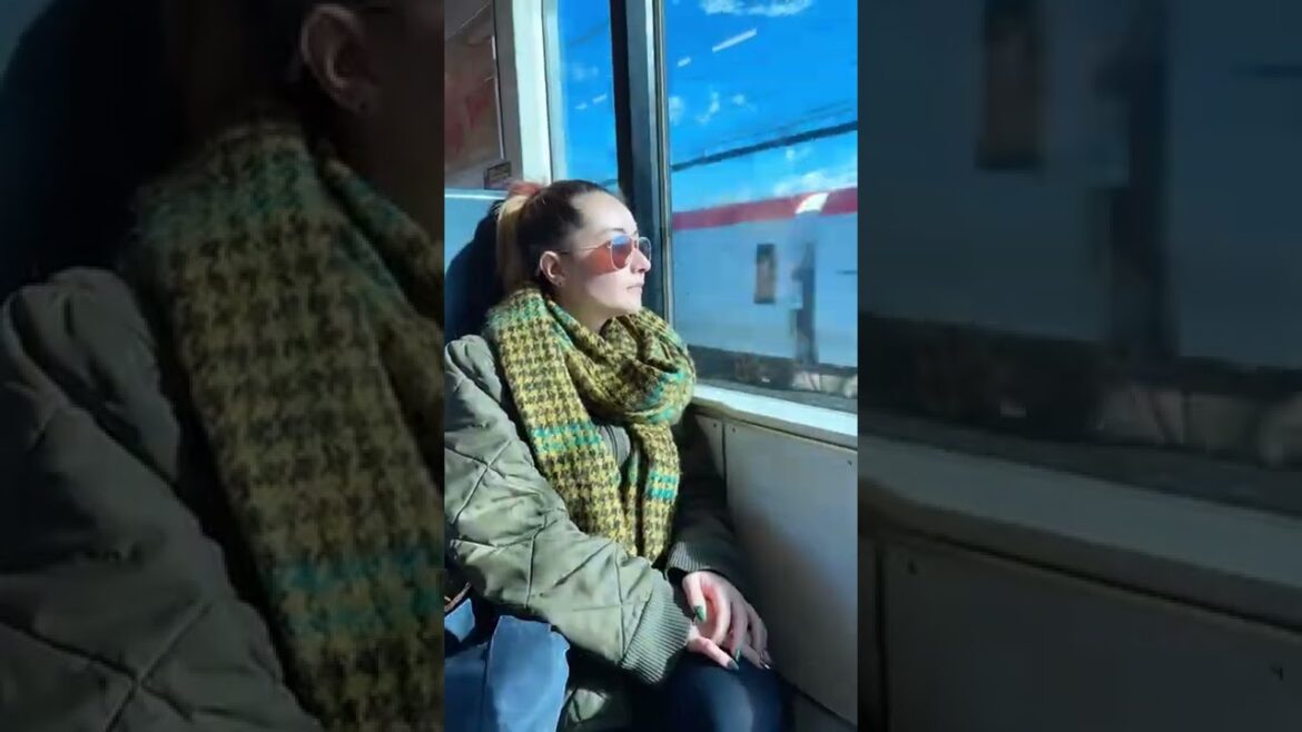 🚅 Japan scenery through the train window