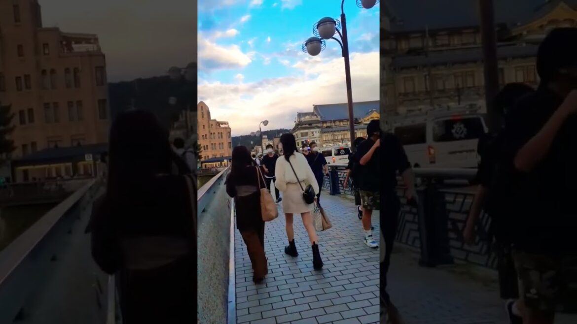 holiday with me #kyoto #japan #foryou #youtubeshorts