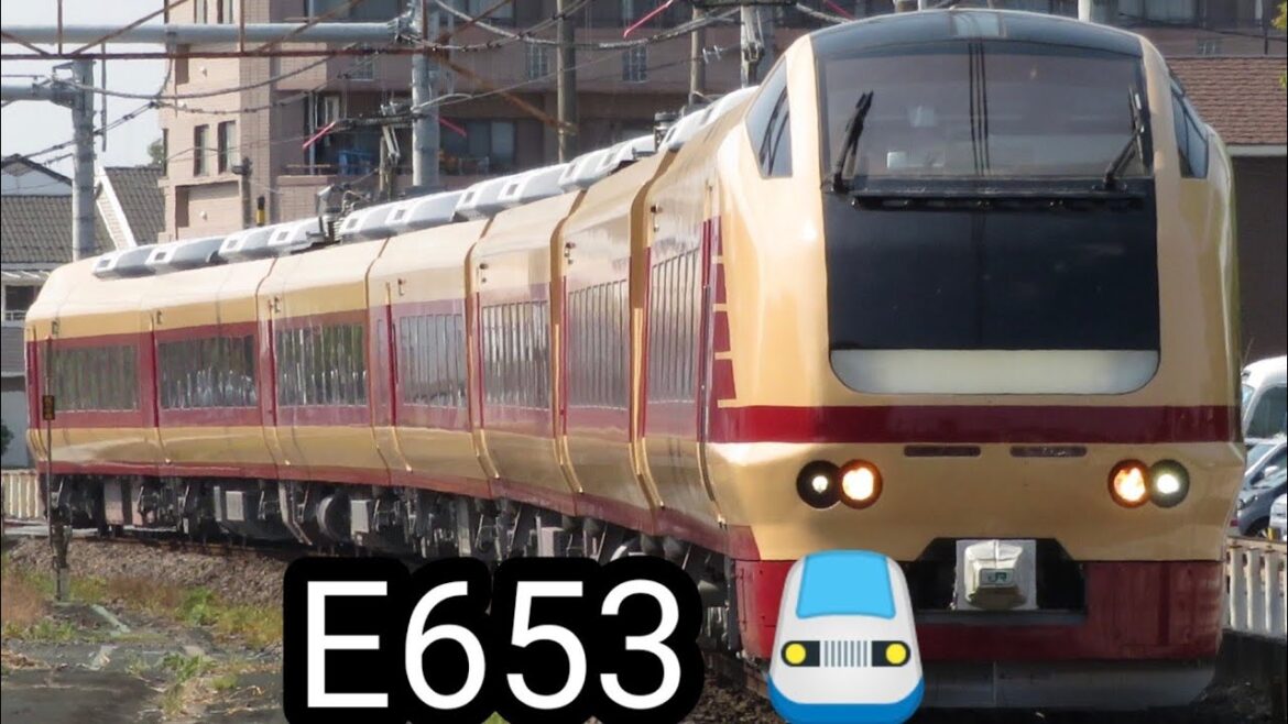 Especial Express Coast Park Kokia Osaka Line E653 Tipo National Express Cor
