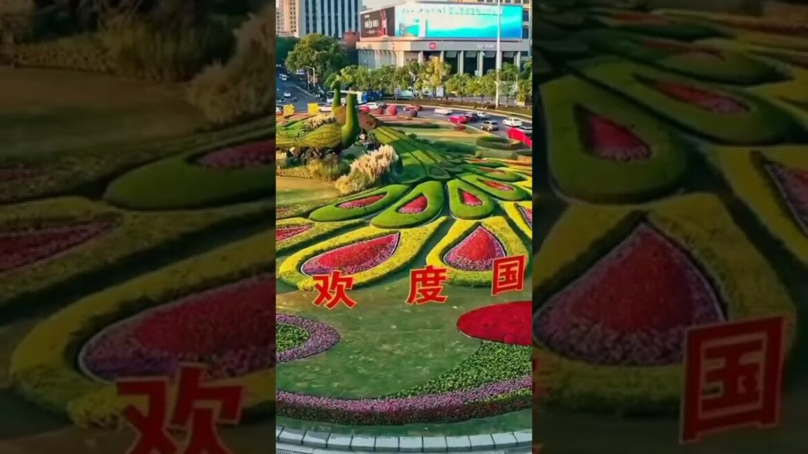 Traveling || chaina || #short ||#shorts || #traveling Traveling || chaina || #short ||#shorts || #traveling