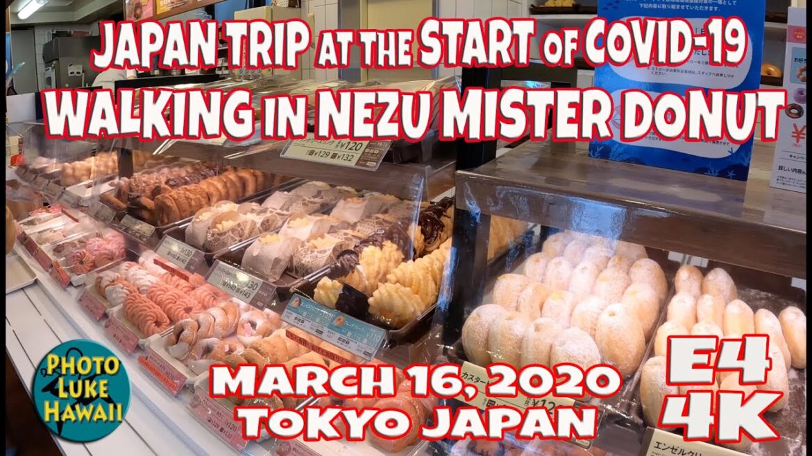 Japan Trip at the Start of Covid 19 Walking in Nezu Mister Donut Pua Lei March 16, 2022 Tokyo Japan