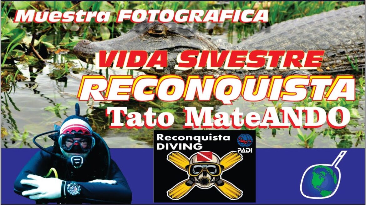 Muestra Fotografica aves y mas Muestra Fotografica aves y mas