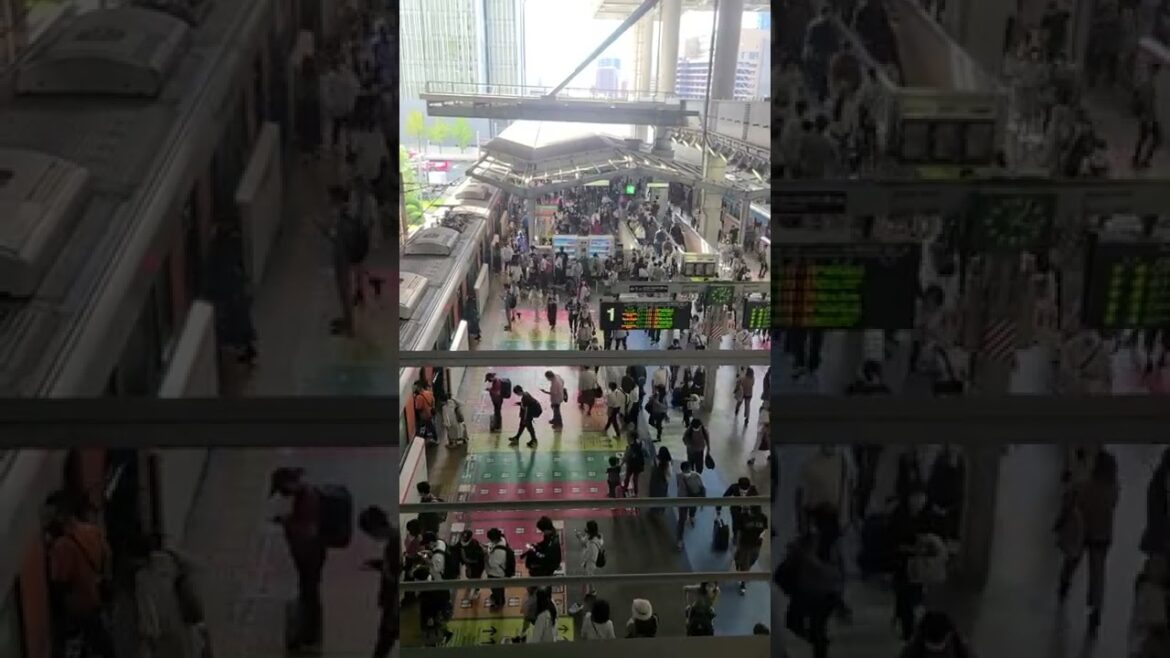 Osaka Station #japan #osaka #train #shorts