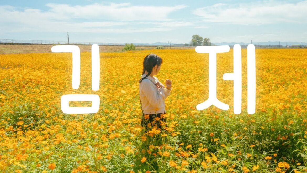 내일 출근하기 싫은 직장인은 꼭 봐야할 영상(feat. 김제)ㅣ여행 동영상