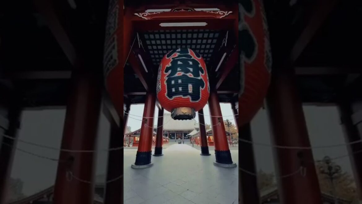 Aesthetic Vlog Japan