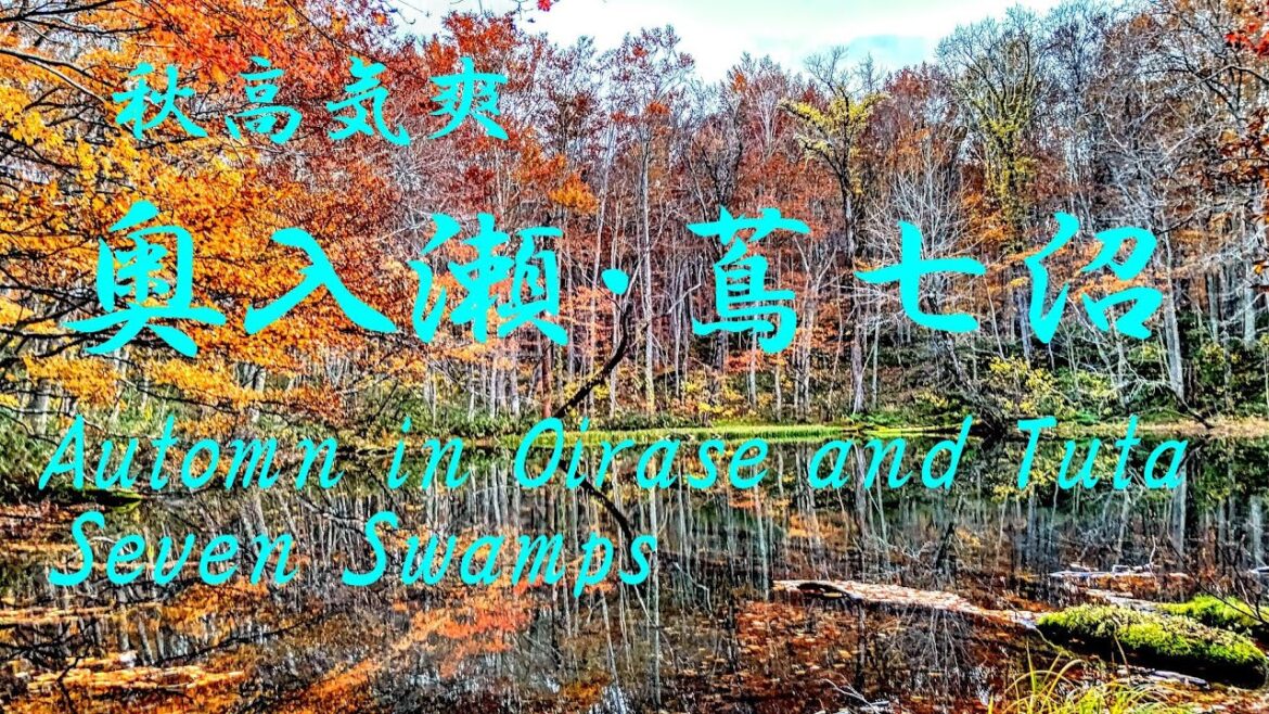 日本の旅~奥入瀬渓流・蔦七沼(蔦沼、月沼、鏡沼、長沼、瓢箪沼、菅沼)~Automn in Oirase and Tuta seven swamps~Travel in Japan 日本の旅~奥入瀬渓流・蔦七沼(蔦沼、月沼、鏡沼、長沼、瓢箪沼、菅沼)~Automn in Oirase and Tuta seven swamps~Travel in Japan