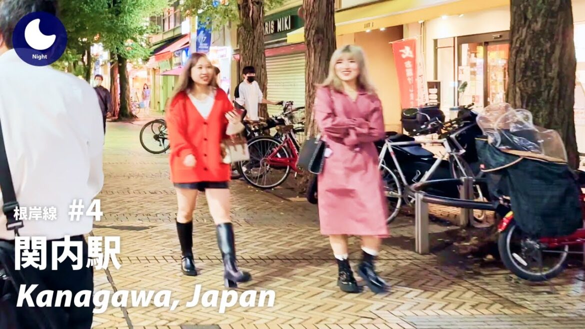 ⁴ᴷ Kanagawa: Kannai Station (関内駅) / Negishi Line #4: Japan Walking Tour 2022 ⁴ᴷ Kanagawa: Kannai Station (関内駅) / Negishi Line #4: Japan Walking Tour 2022