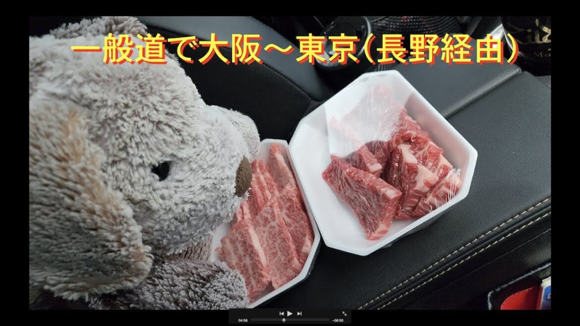雨の中、大阪〜東京を一般道で(長野経由)グーグルマップの到着予想時間通りに着けるかな? Verify how accurate Google Maps' ETA from Osaka to Tokyo 雨の中、大阪〜東京を一般道で(長野経由)グーグルマップの到着予想時間通りに着けるかな? Verify how accurate Google Maps' ETA from Osaka to Tokyo