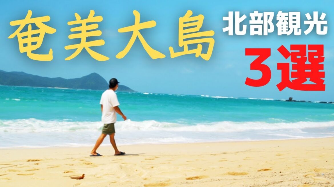 【絶対に行きたい】奄美大島北部観光・絶景スポット3選【移住者厳選】