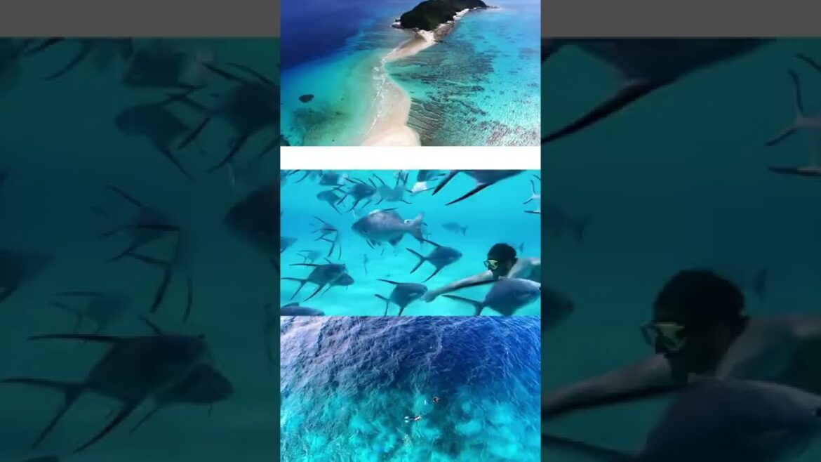 TOP 7 INCREDIBLE TRAVEL DESTINATIONS TOP 7 INCREDIBLE TRAVEL DESTINATIONS