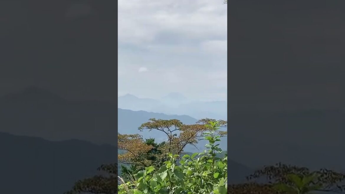 Mt. Fuji🗻 from Mt. Takao⛰️😃(2022/10/03)#shorts
