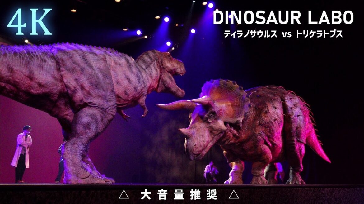 【大音量推奨】DINO-A-LIVE恐竜ラボ!ディノサバイバル クライマックスシーン★DINO-A-LIVE DINOSAUR LABO DINOSURVIVAL CLIMAX SCENE ≪4K≫ 【大音量推奨】DINO-A-LIVE恐竜ラボ!ディノサバイバル クライマックスシーン★DINO-A-LIVE DINOSAUR LABO DINOSURVIVAL CLIMAX SCENE ≪4K≫